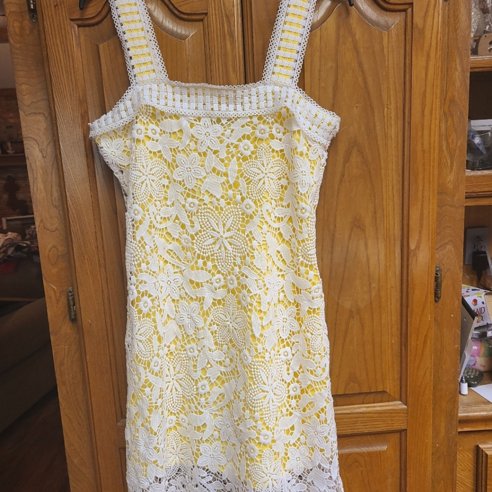 Yellow with white lace covered dress